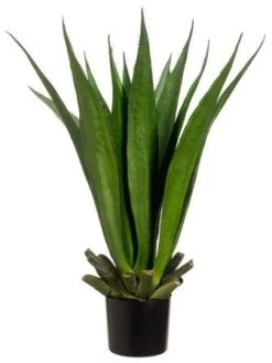 EF-621 33 Inches Agave Plant W/15 Lvs. In Black Plastic Pot Two Tone Green INDOOR/OUTDOOR
