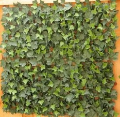 EF-2534 40 Inches 40 Inches Plastic Square Outdoor UV Rated Artificial English Ivy