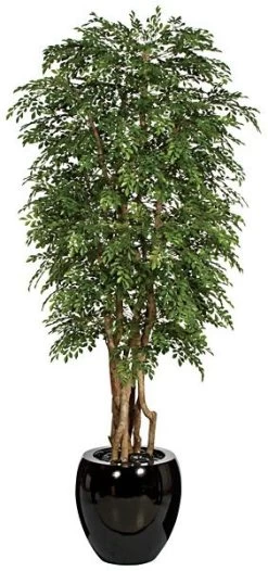 W-70308 8 Feet Orange Jasmine Tree - Natural Trunk - 16,056 Green Leaves - 35 Inches Width - Weighted Base