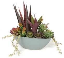 A-130180 11 Inches POTTED MIX SUCCULENT