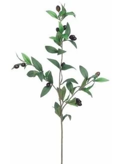 EF-366 31.5 Inches Olive Branch Green Burgundy (Price Is Per Dozen)