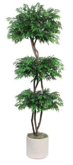 EF-4104 6.5 Feet Ming Aralia Topiary Has 3 Natural Dragonwood Trunks WIth 4,998 Leaves