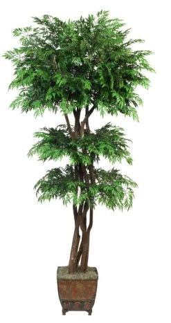 EF-4085 7.5 Feet Tiered Ming Aralia Tree Comes On 5 Natural Dragonwood Trunks And Has 4,403 Leaves