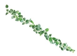 6 Foot Fire Retardant Variegated Pothos Garland