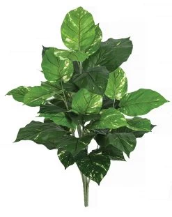 36 INCH FIRESAFE VARIEGATED POTHOS BUSH