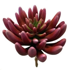 5.5 Inch FR Succulent Pick Magenta Color