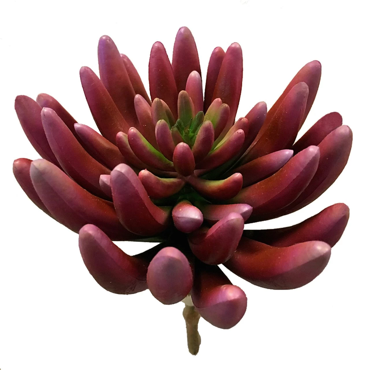 5.5 Inch FR Succulent Pick Magenta Color