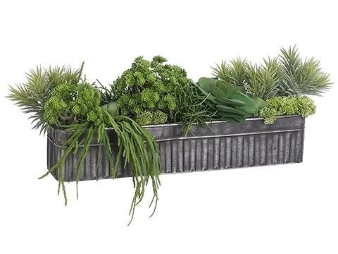10"Hx14"Wx32"L Succulent Mix In Tin Container Green