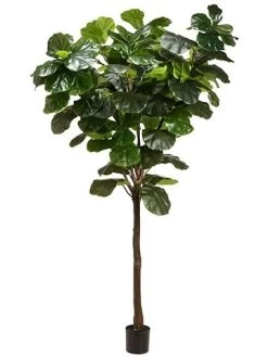 9 Feet EVA Exotic Giant Fiddle Leaf Tree In Pot Knock-down Packing Green EA