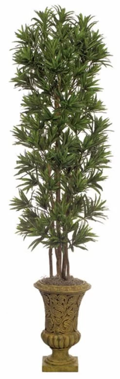 7 Feet Dracaena Reflexa Tree - Natural Trunks - 2,820 Leaves - Green/White - Weighted Base