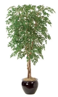 7 Feet Silver Birch Tree - Natural Trunks - 3,744 Leaves - Green