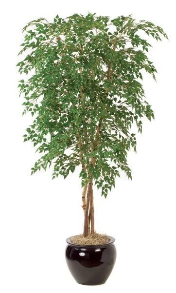 7 Feet Silver Birch Tree - Natural Trunks - 3,744 Leaves - Green