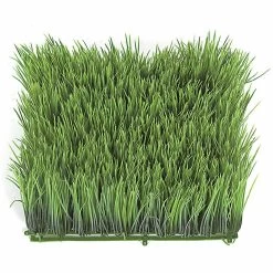 9 Inches HIGH X 18 Inches Wide Outdoor WHEAT GRASS MOUND
