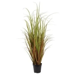 36 Inches Mixed Brown Grass In Pot