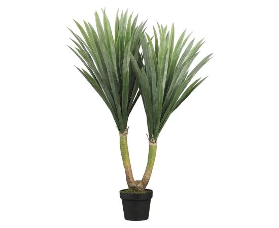 43 Inches Tropical Yucca Plant In Pot Green